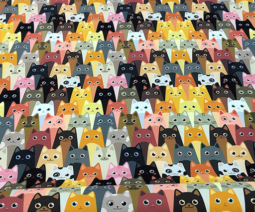 KEDİ DESENLİ DİJİTAL BASKI KUMAŞ - HARMONİ