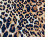 LEOPAR DESENLİ DİJİTAL BASKI KUMAŞ - KAMEL