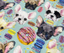FRENCH BULLDOG VE MAKARON DİJİTAL BASKI KUMAŞ - MİNT