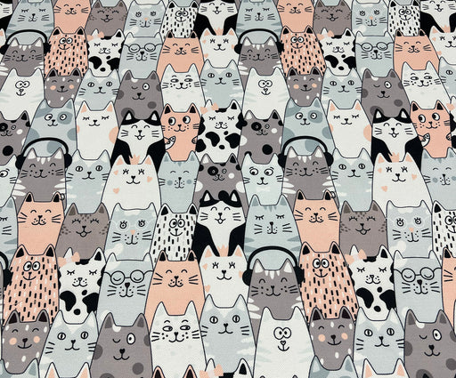 KEDİLER DİJİTAL BASKI KUMAŞ - HARMONİ