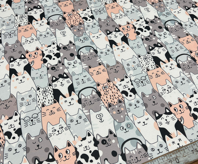 KEDİLER DİJİTAL BASKI KUMAŞ - HARMONİ