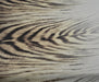 ZEBRA DESENLİ ŞİFON KUMAŞ - KAHVE