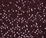 PUL PAYET DESENLİ ABİYELİK KUMAŞ - BORDO