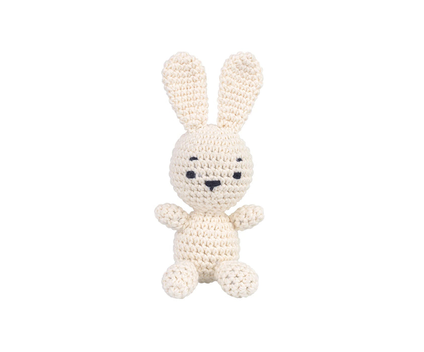 AMİGURUMİ KİTİ - FLOPSY