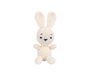 AMİGURUMİ KİTİ - FLOPSY