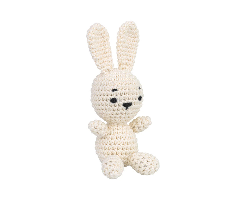 AMİGURUMİ KİTİ - FLOPSY