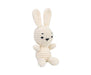 AMİGURUMİ KİTİ - FLOPSY