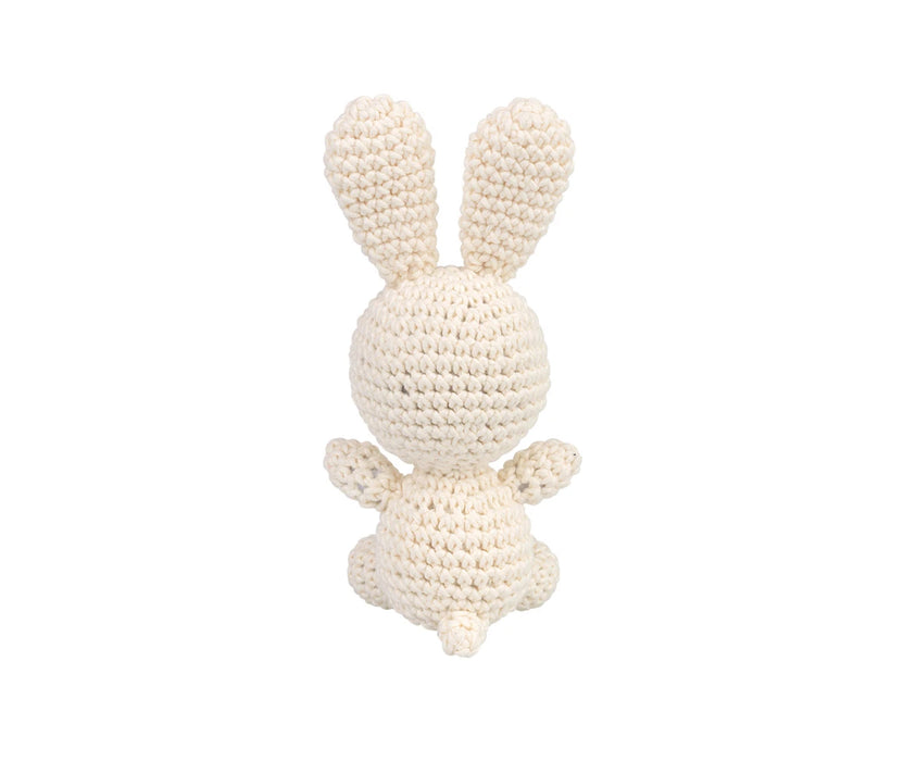 AMİGURUMİ KİTİ - FLOPSY