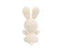 AMİGURUMİ KİTİ - FLOPSY